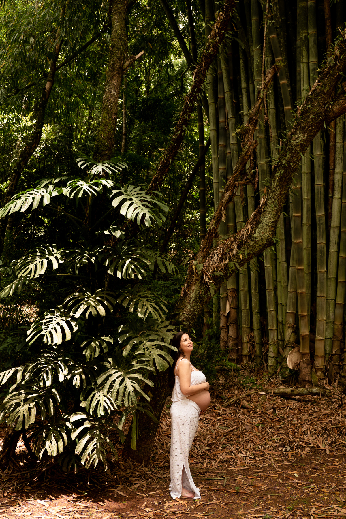 ensaio-gestante-natureza-sp