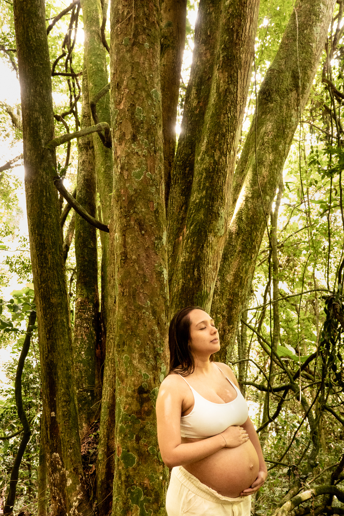 fotografia-gestante-natureza-sp