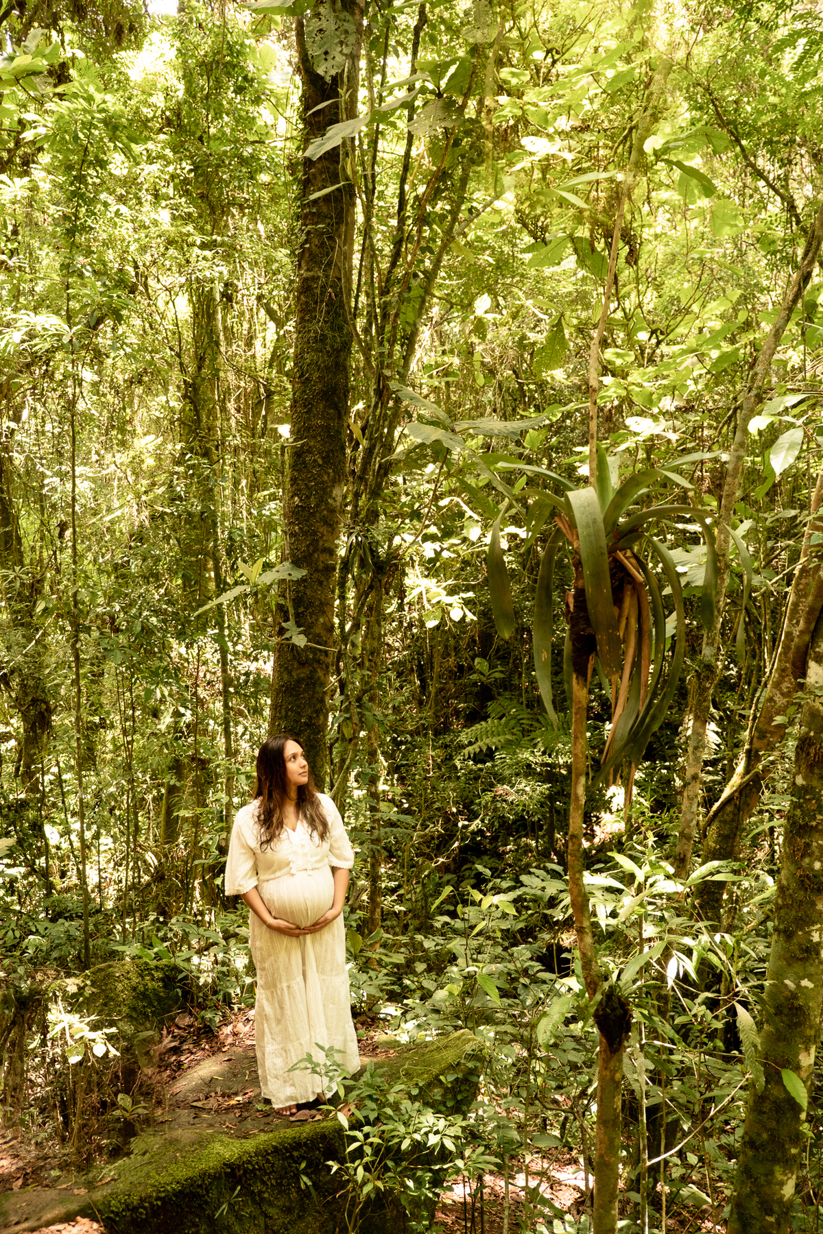 ensaio-gestante-natureza