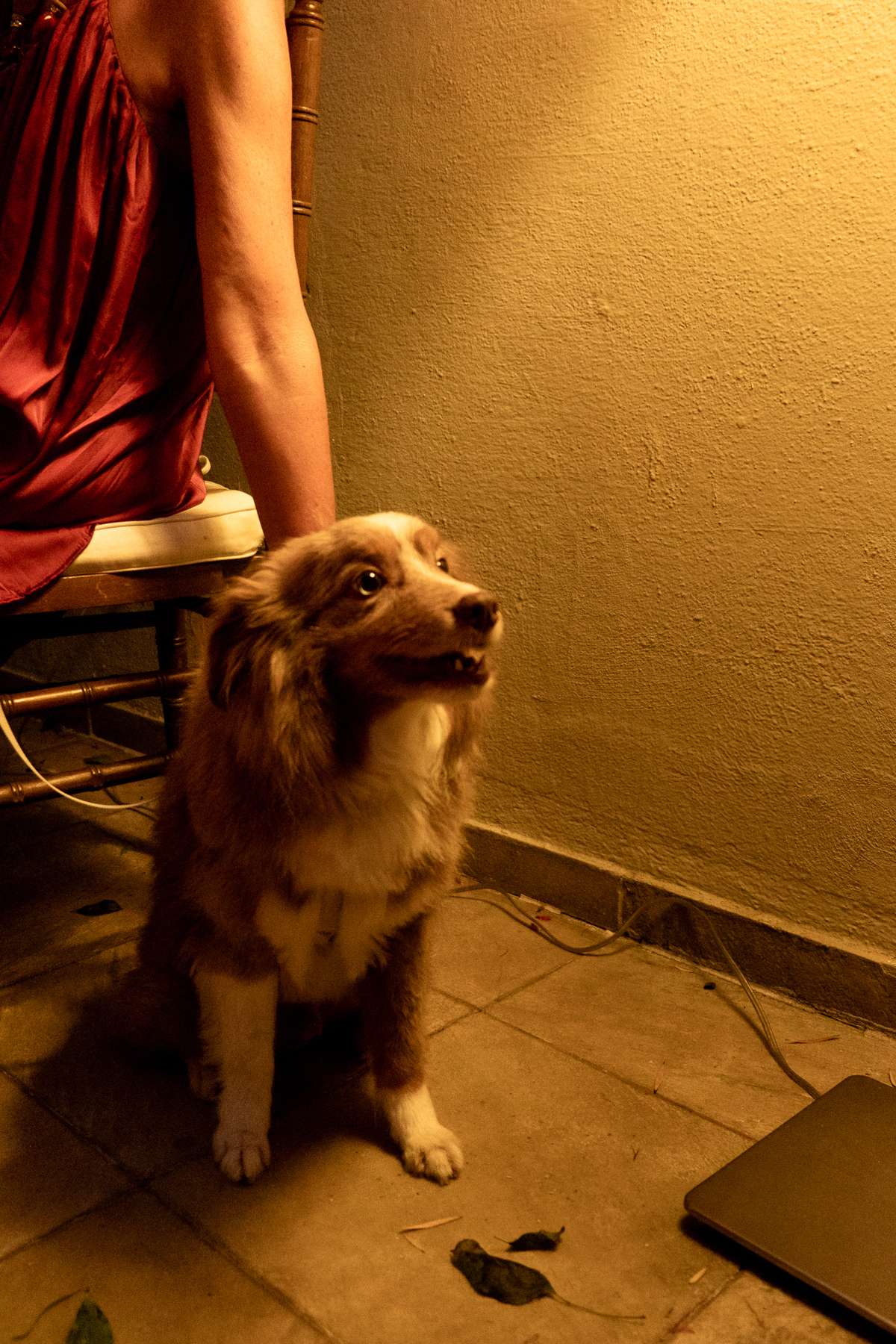 fotografia-evento-sp