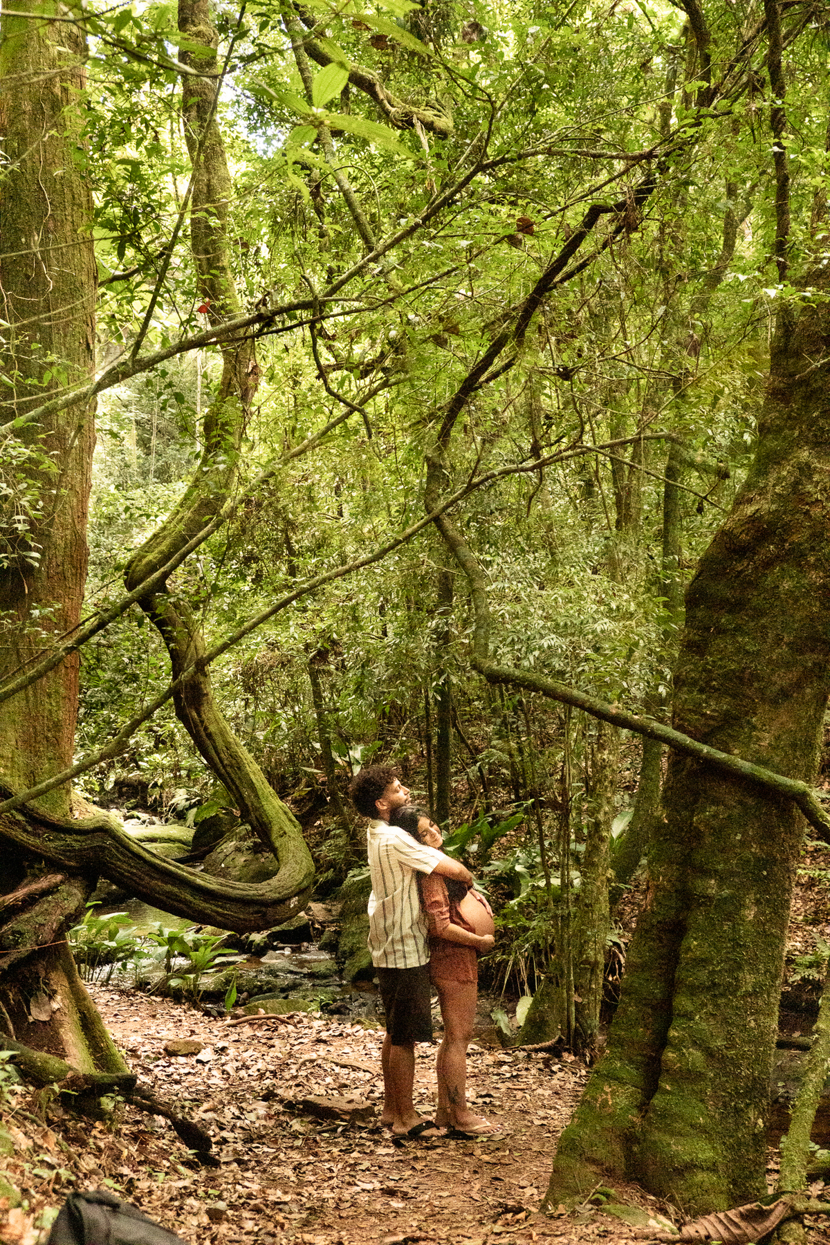 foto-gestante-natureza