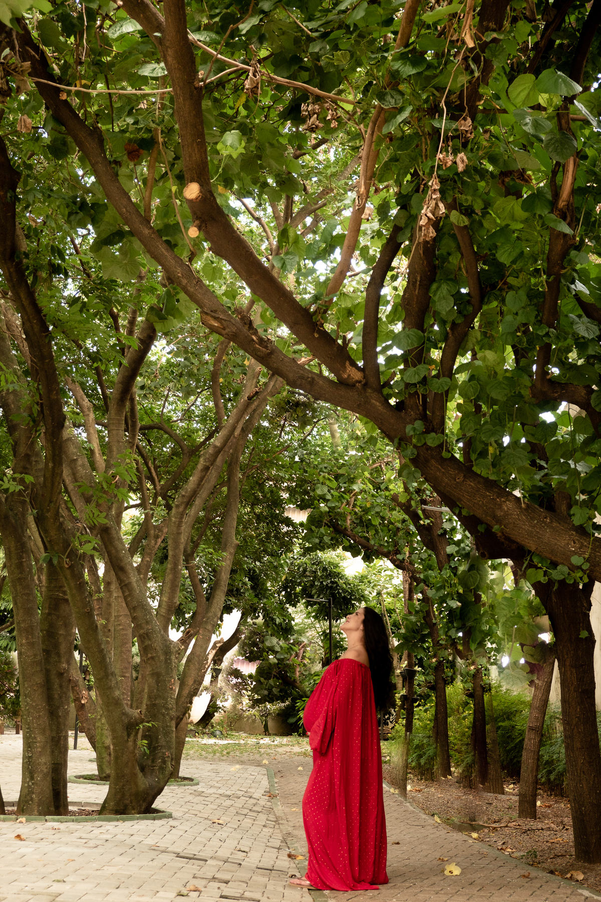 ensaio-gestante-natureza-sp