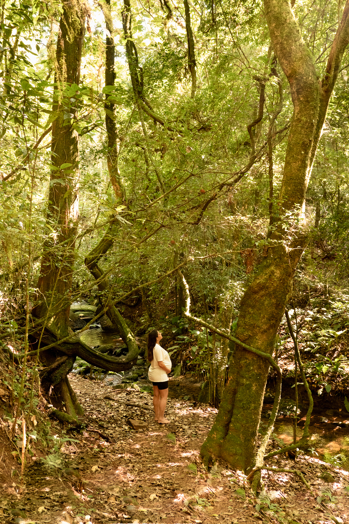 foto-gestante-natureza-sp