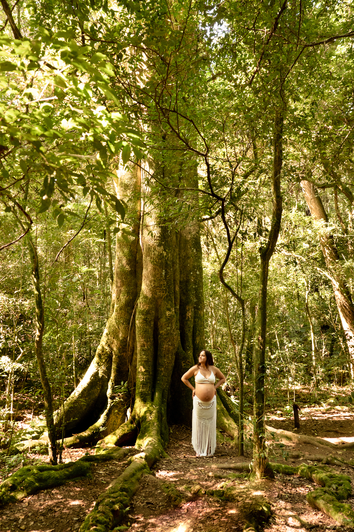 fotografia-gestante-sp