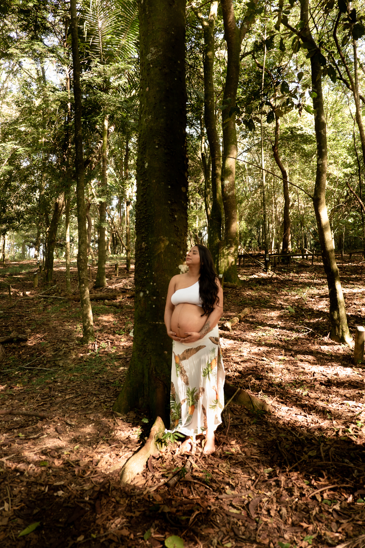 ensaio-gestante-natureza