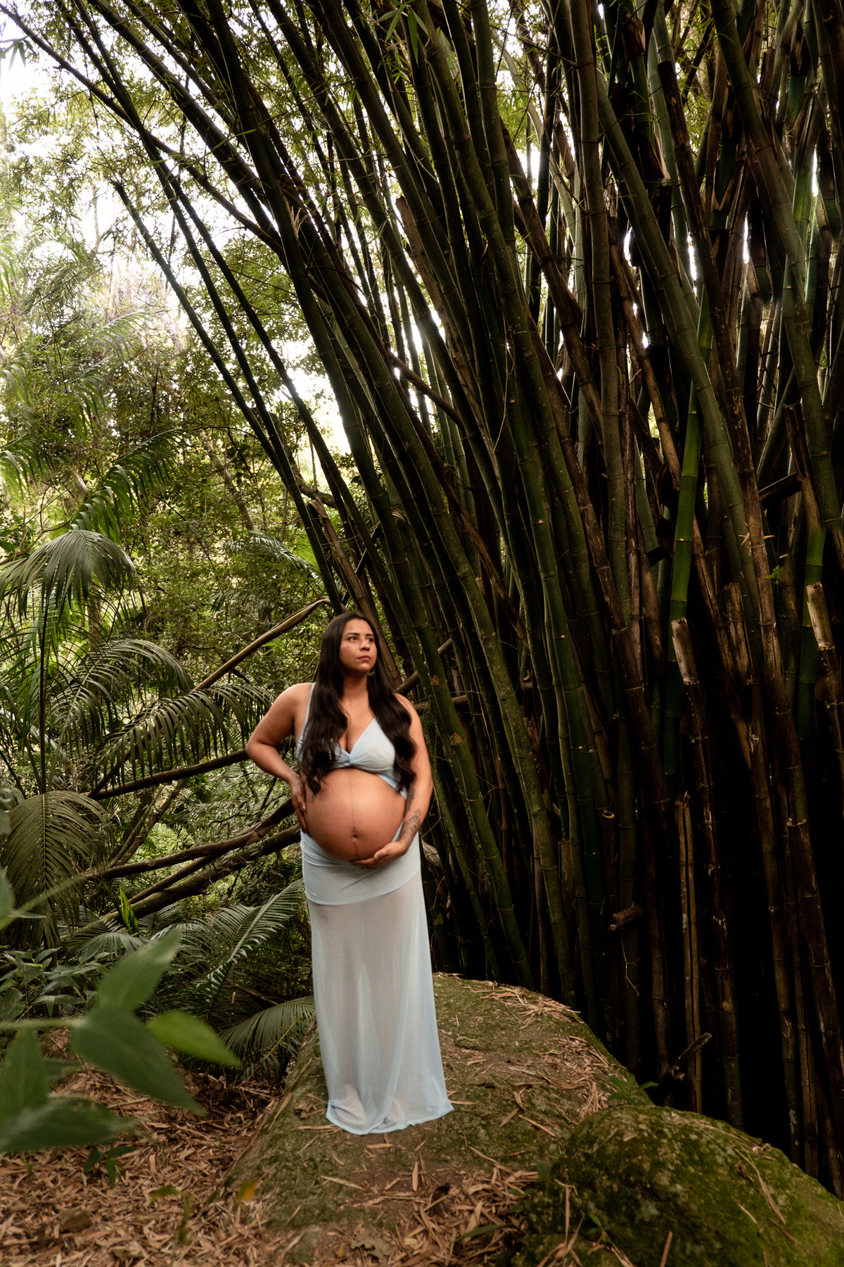 retrato-gestante-natureza