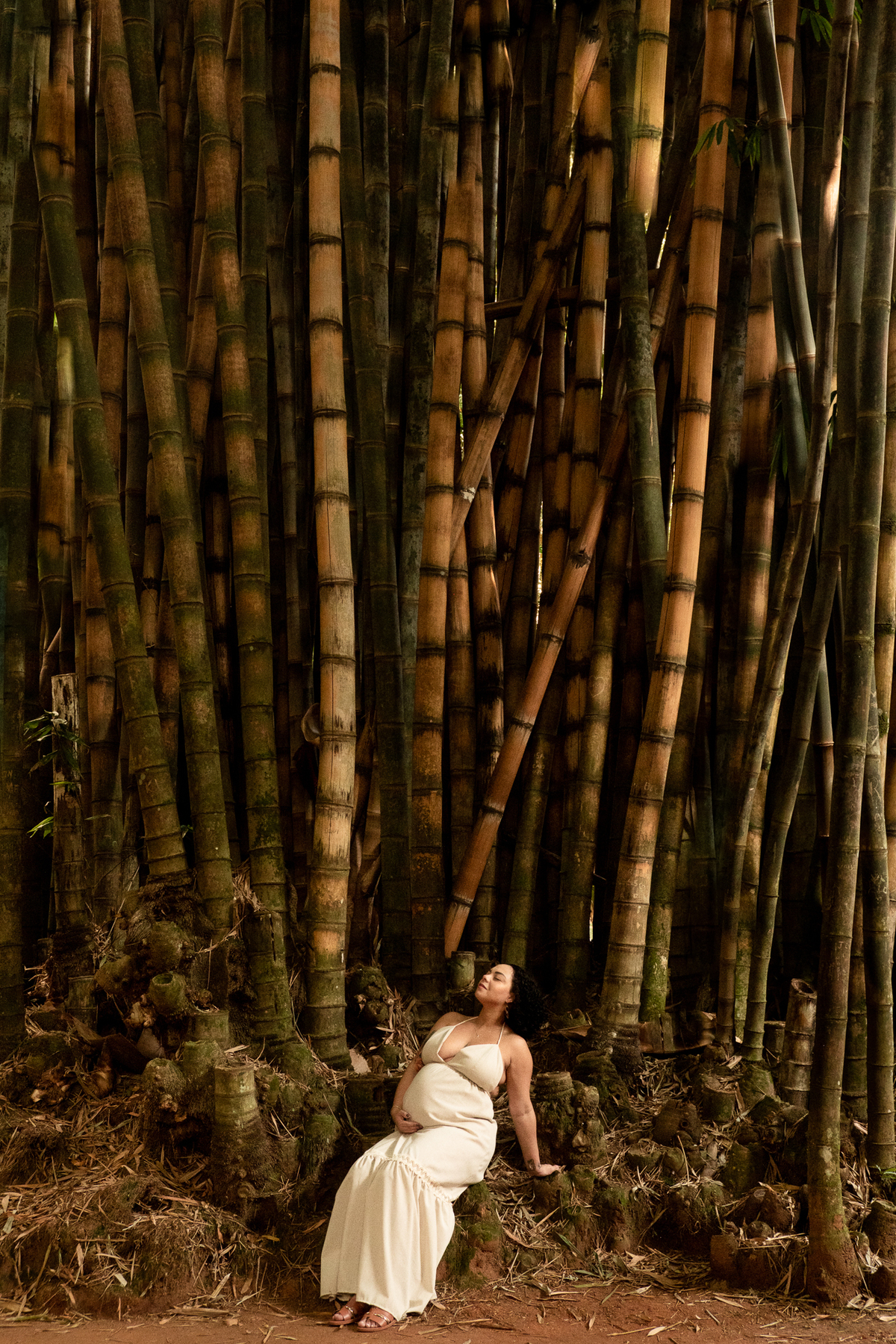 fotografia-gestante-natureza-sp