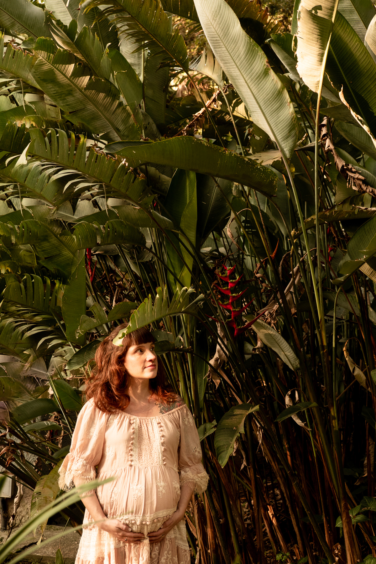 foto-gestante-natureza