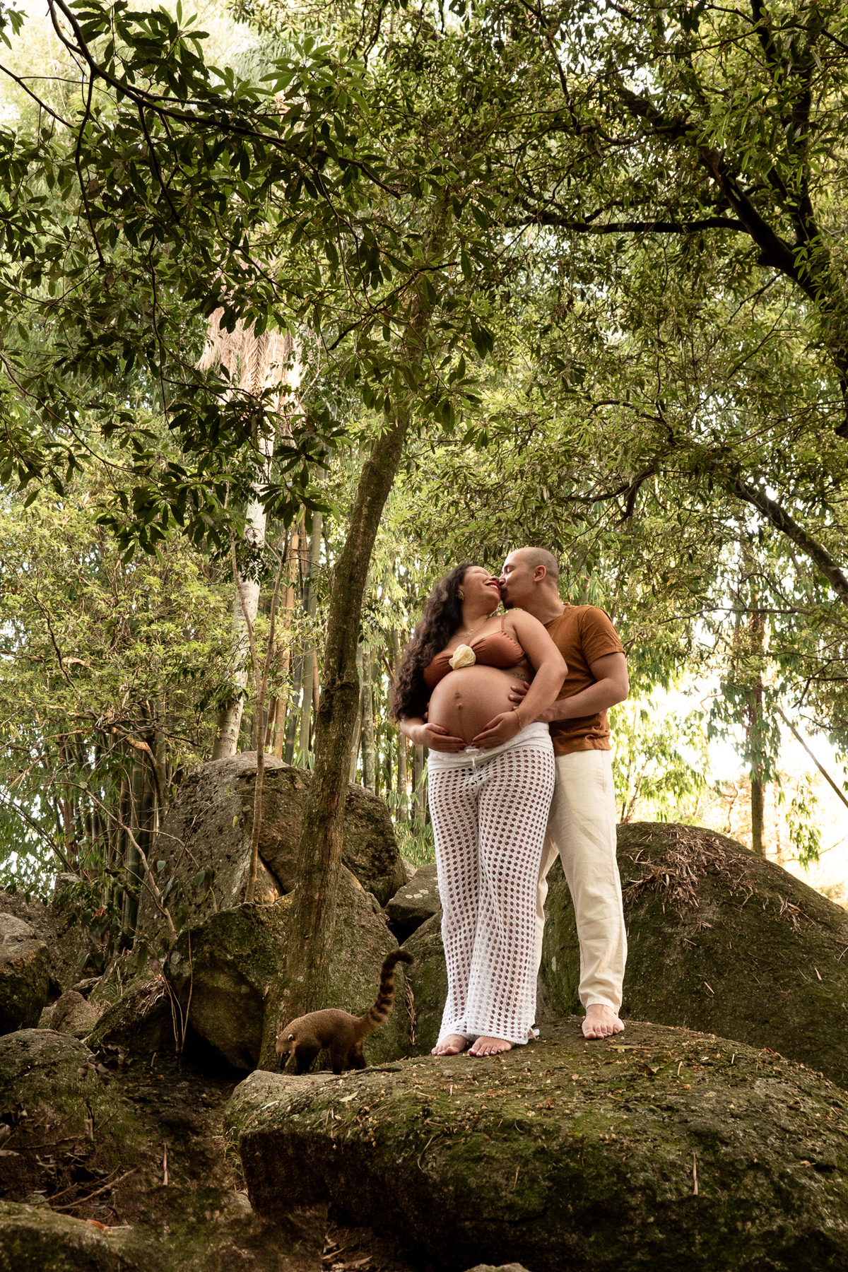 fotografia-gestante-parque-natureza-sp