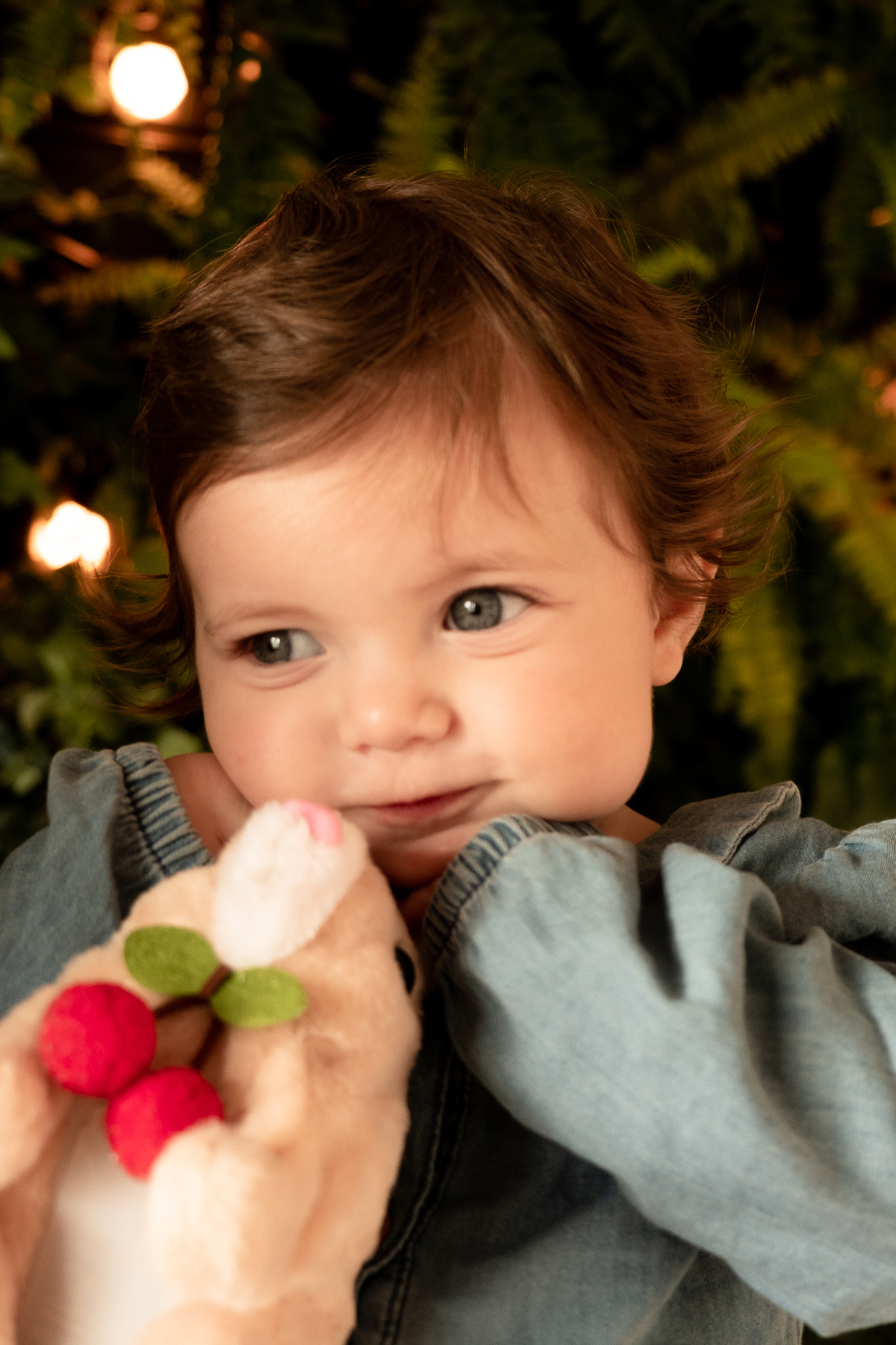 ensaio-familia-fim-de-ano
