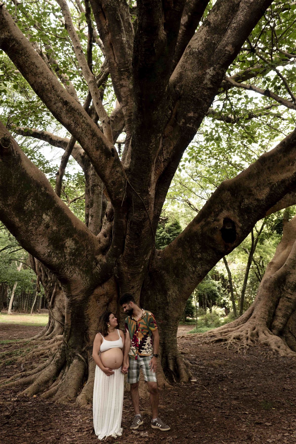 foto-gestante-parque-natureza-sp