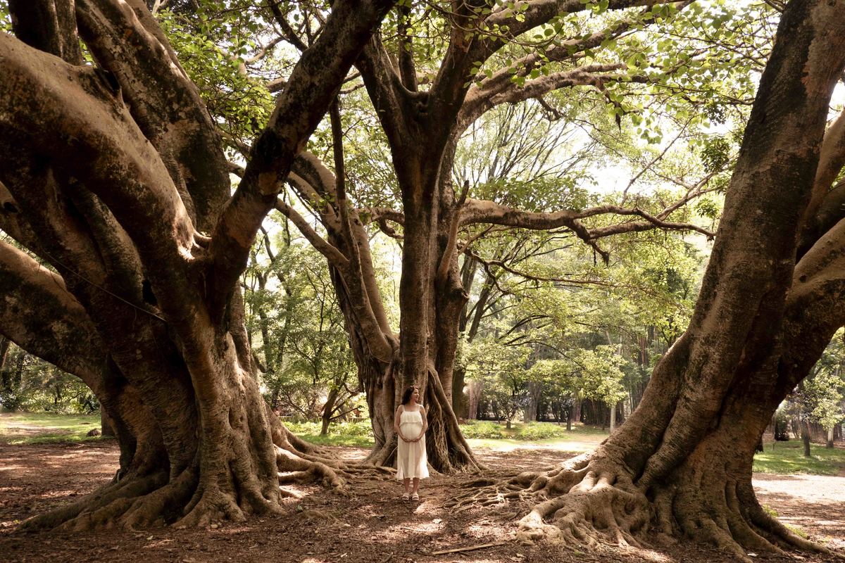 foto-gestante-natureza-sp