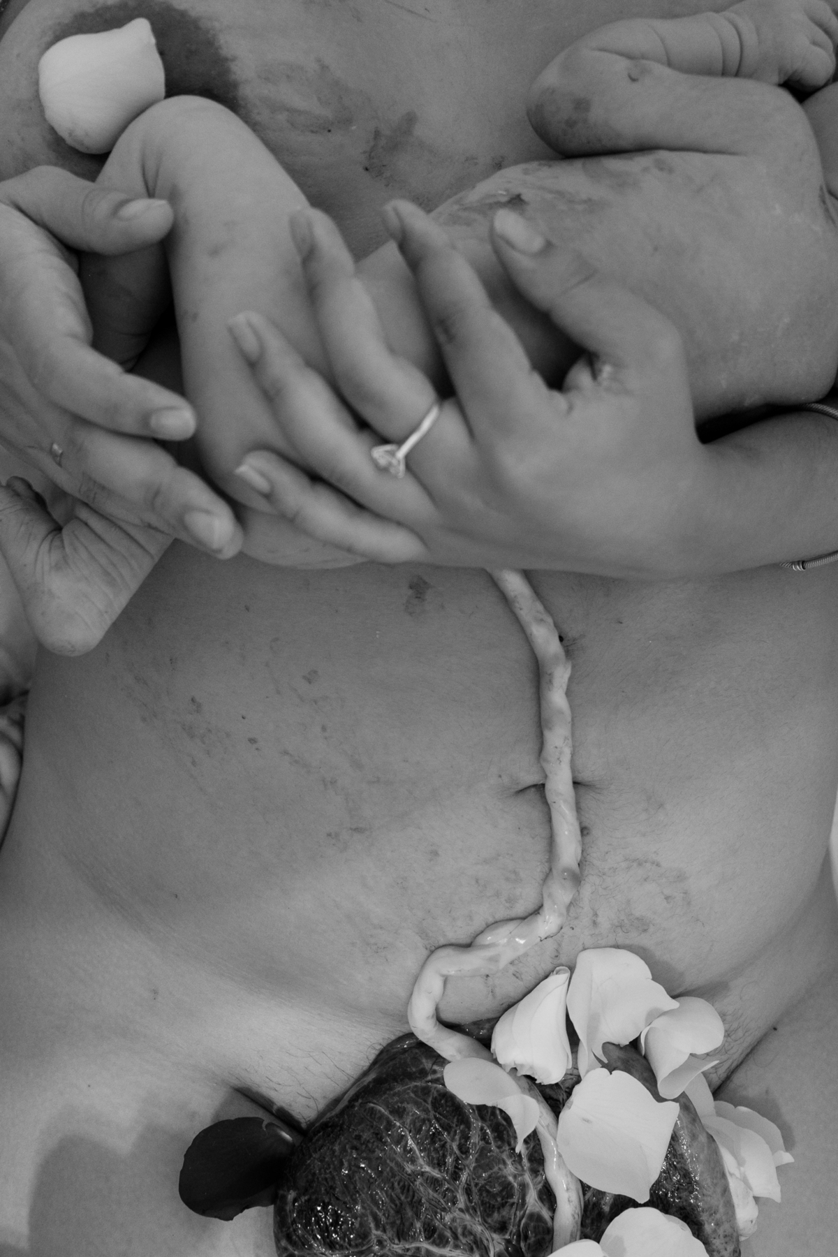 registro-de-parto-sp