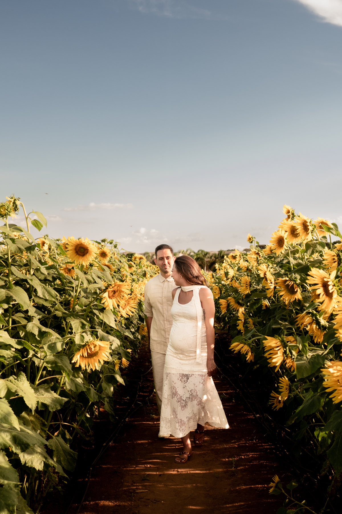 fotografia-gestante-holambra