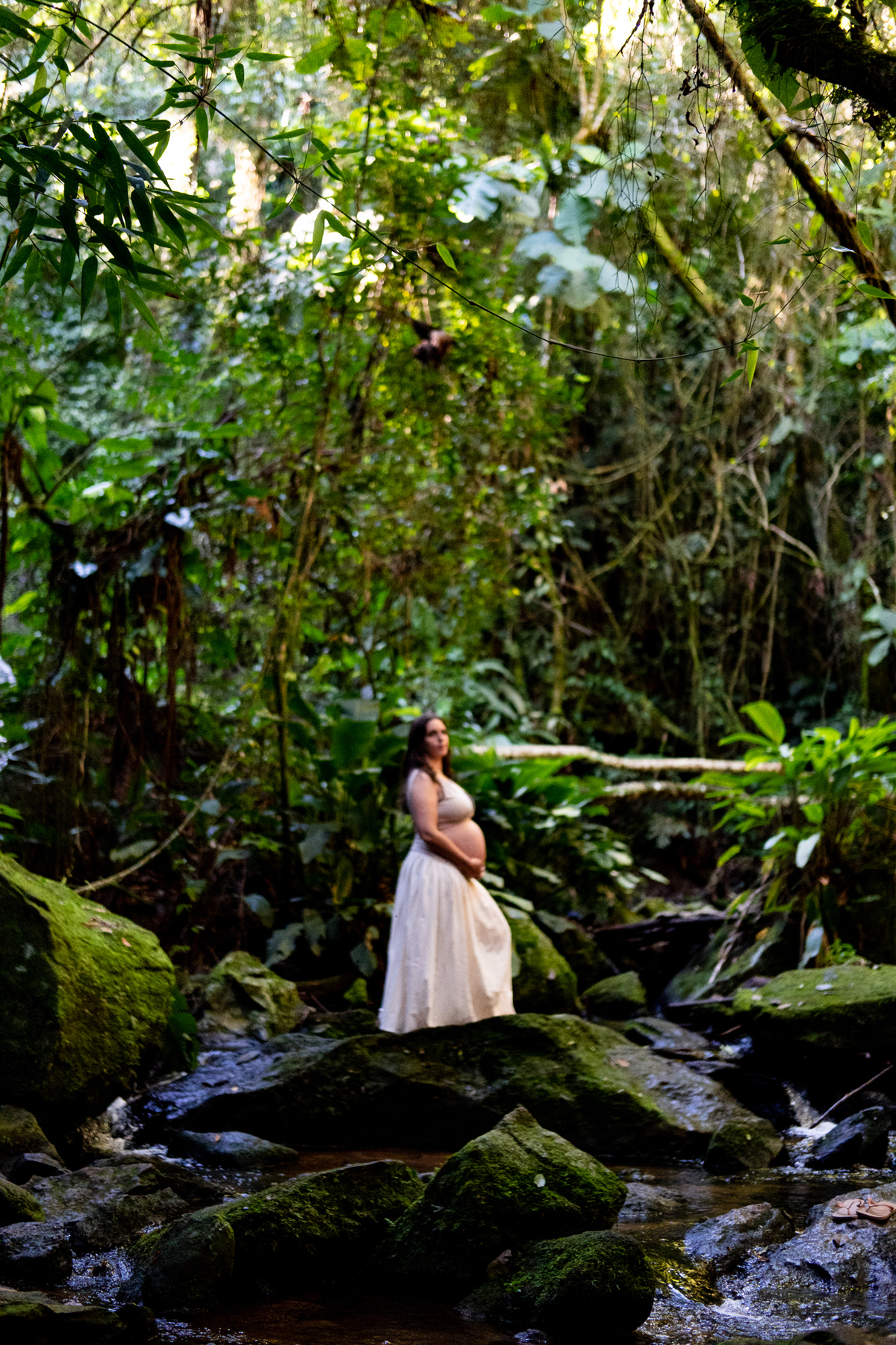 foto-gestante-natureza-sp