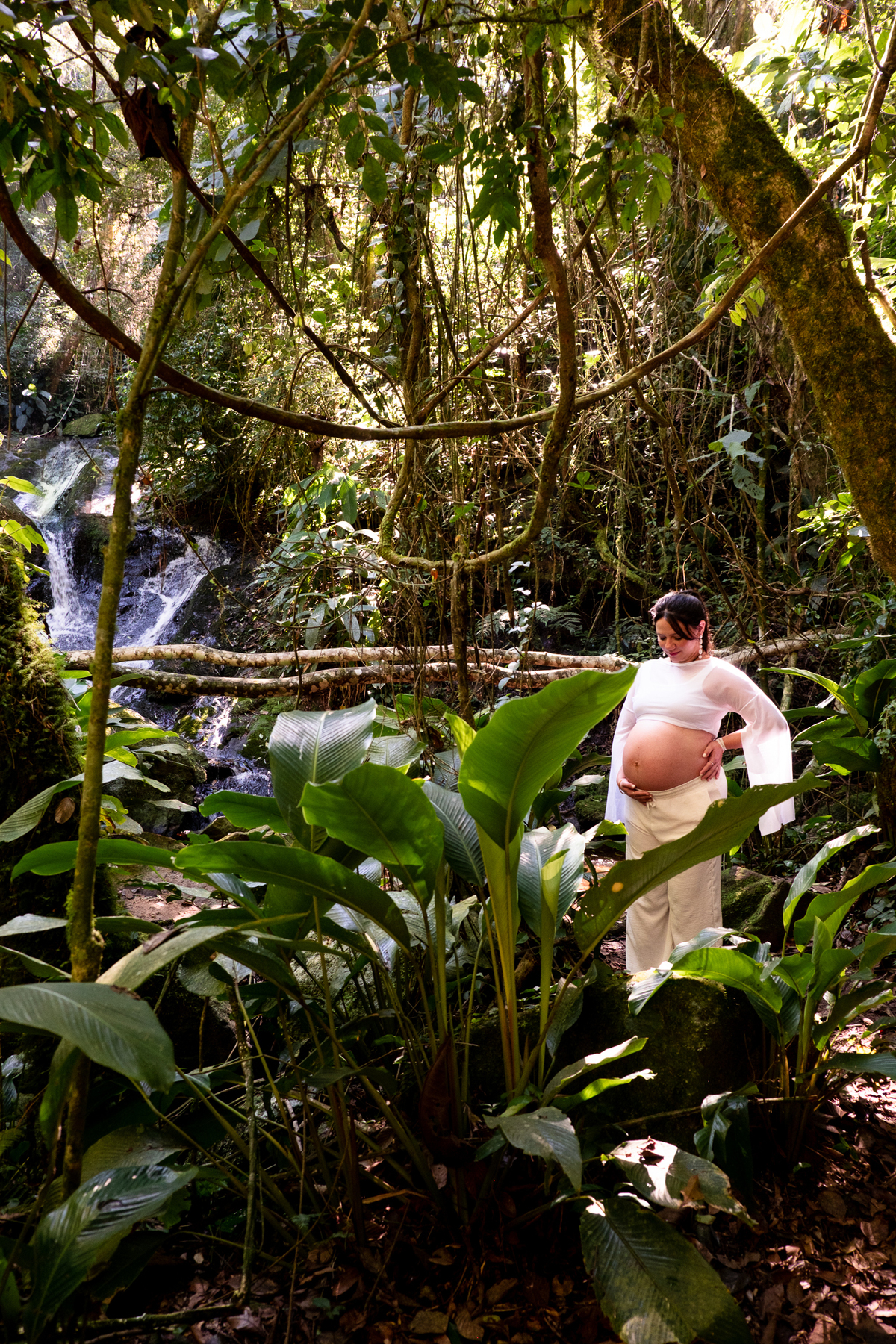 retrato-gestante-natureza-sp