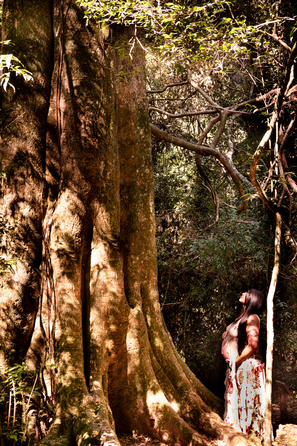 retrato-gestante-natureza-sp
