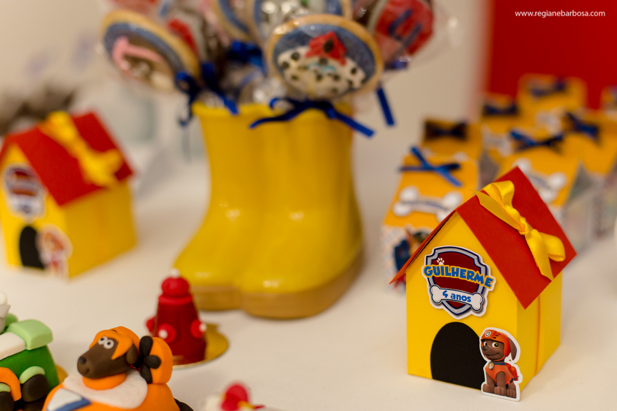 Aniversario de 4anos patrulha canina fabrica de sonhos cruzeiro sp regiane barbosa fotografia