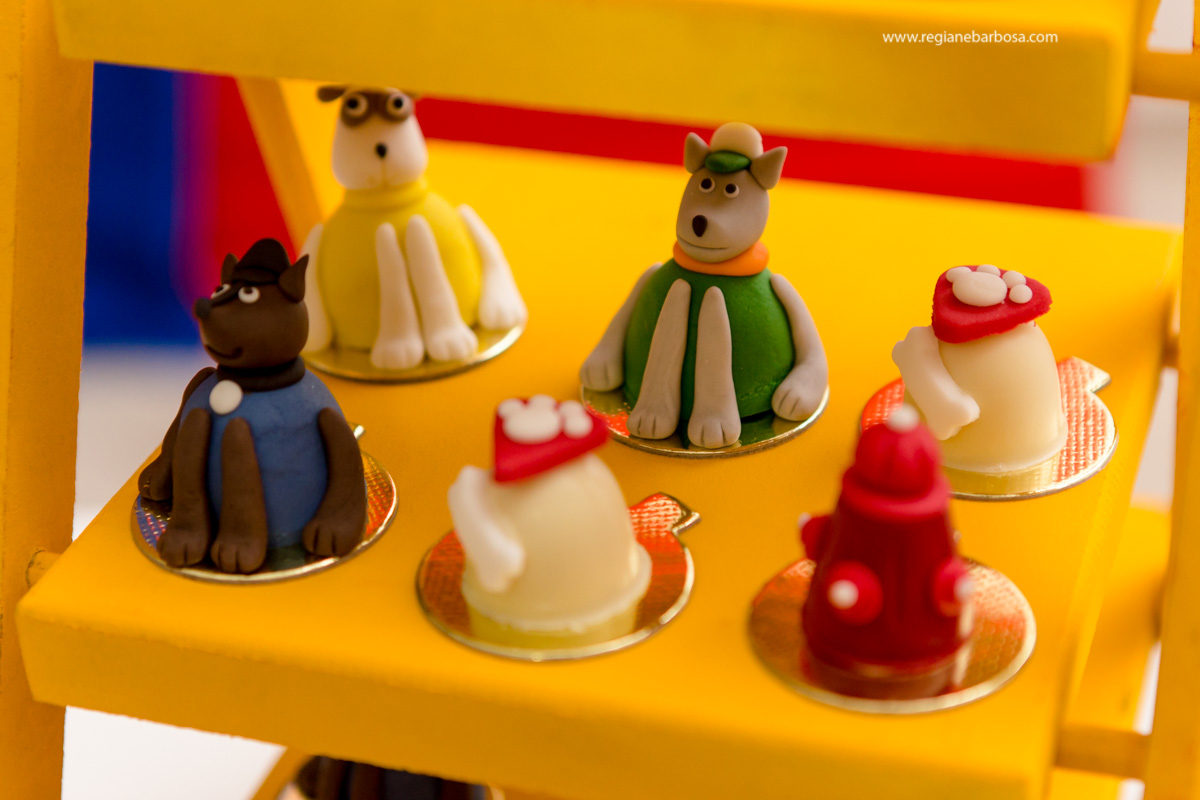 Aniversario de 4anos patrulha canina fabrica de sonhos cruzeiro sp regiane barbosa fotografia