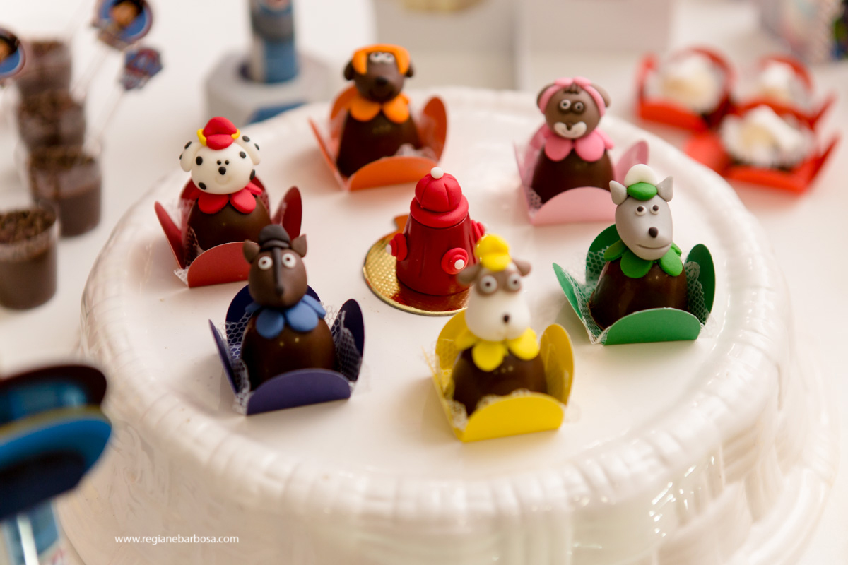 Aniversario de 4anos patrulha canina fabrica de sonhos cruzeiro sp regiane barbosa fotografia