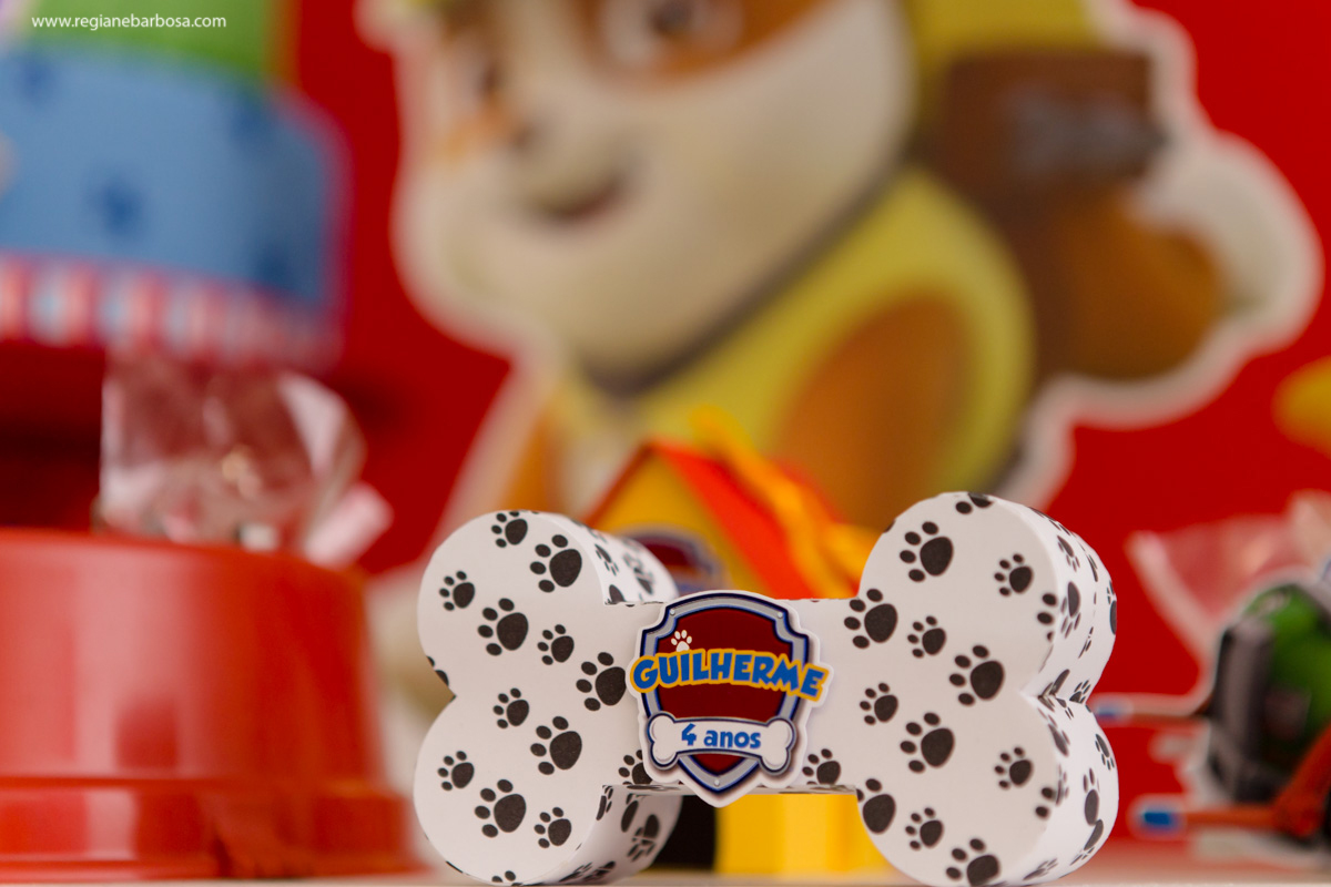 Aniversario de 4anos patrulha canina fabrica de sonhos cruzeiro sp regiane barbosa fotografia