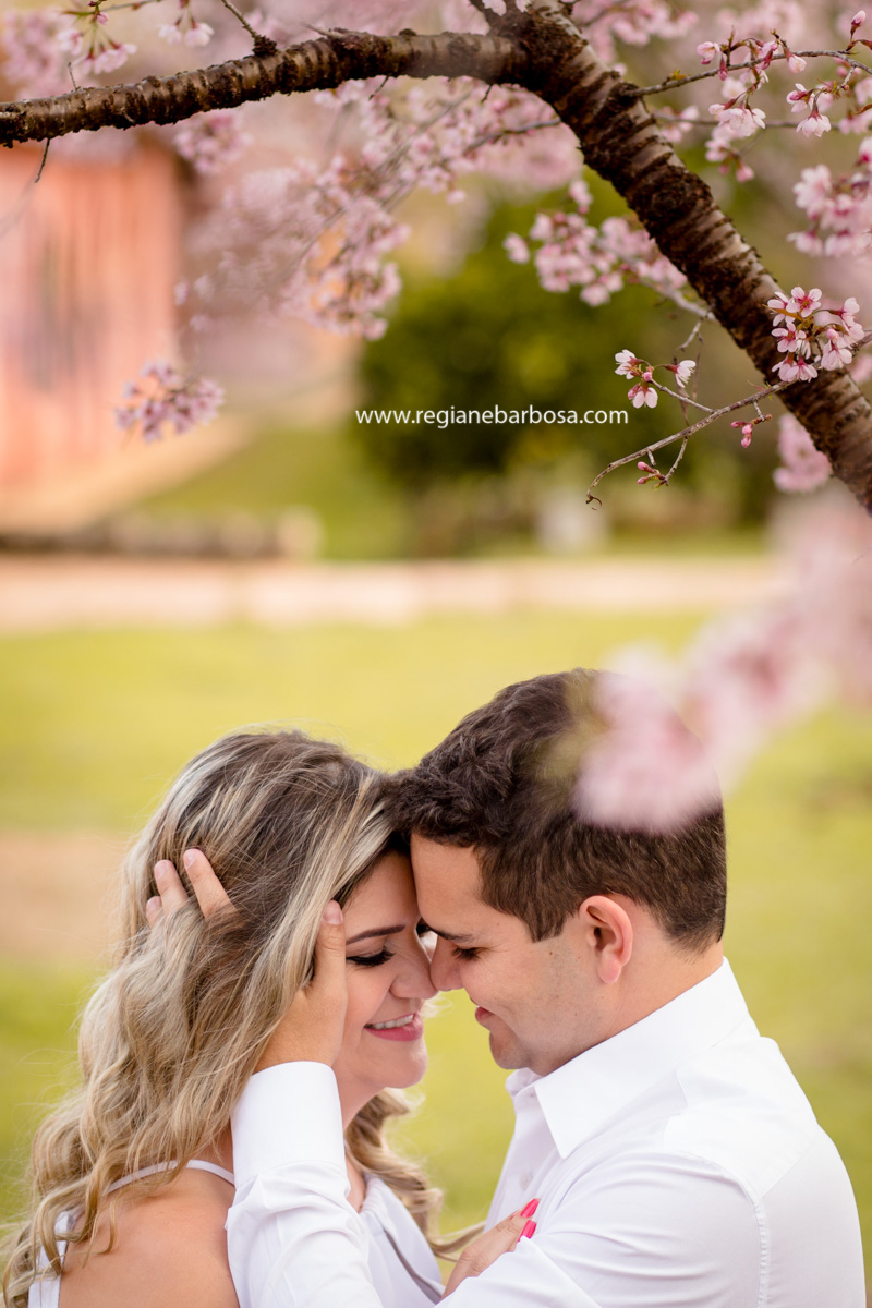 Pousada Serra que Chora Itanhandu MG Cerejeiras Fotografia de Casal espontaneidade e beleza lugar agradavel Regiane Barbosa Fotografa Casamento