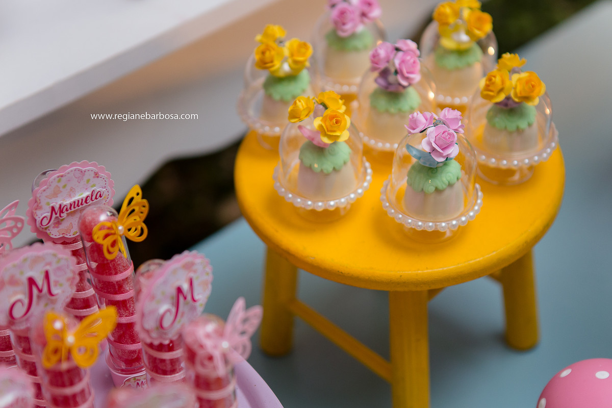 Fotografia infantil Cruzeiro SP Buffet Carinhoso Tema o jardim das borboletas azul rosa amarelo Fotografa Regiane Barbosa espontaneidade e beleza