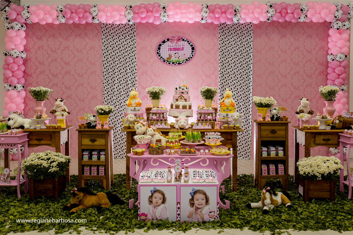 Aniversario infantil fabrica de sonhos cruzeiro sp fazendinha de menina regiane barbosa fotografia
