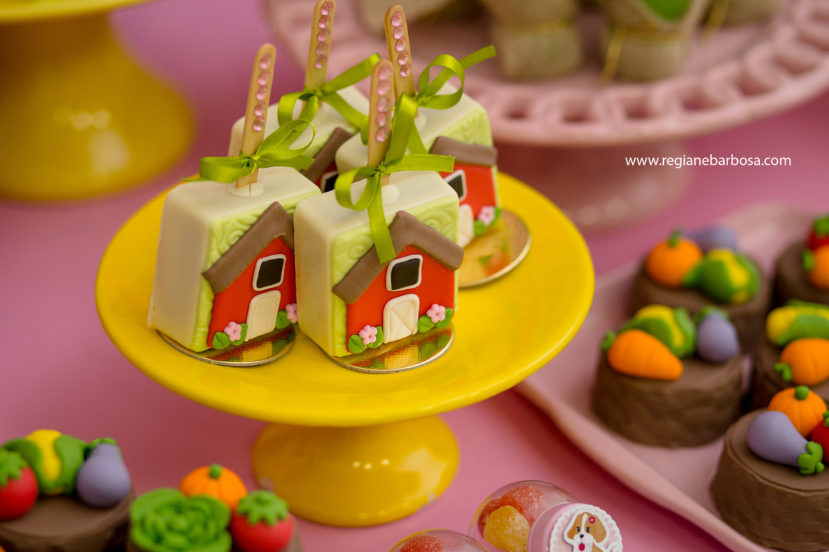 Aniversario infantil fabrica de sonhos cruzeiro sp fazendinha de menina regiane barbosa fotografia