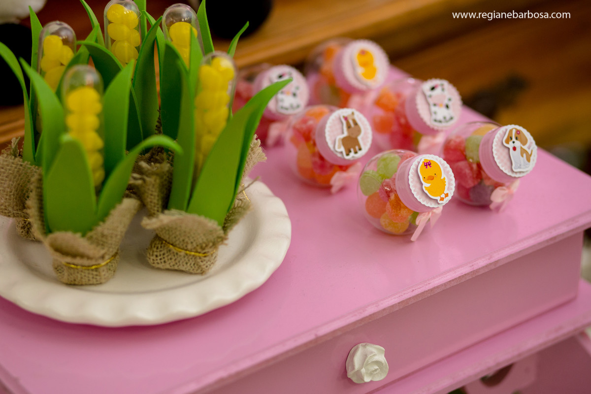 Aniversario infantil fabrica de sonhos cruzeiro sp fazendinha de menina regiane barbosa fotografia