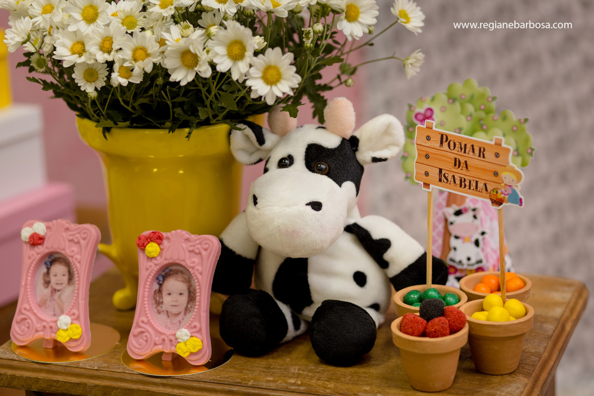 Aniversario infantil fabrica de sonhos cruzeiro sp fazendinha de menina regiane barbosa fotografia