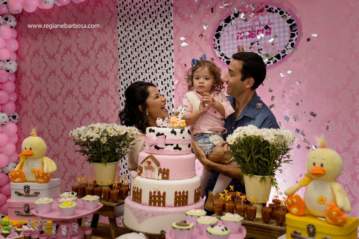 Aniversario infantil fabrica de sonhos cruzeiro sp fazendinha de menina regiane barbosa fotografia