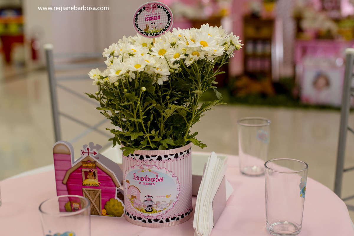 Aniversario infantil fabrica de sonhos cruzeiro sp fazendinha de menina regiane barbosa fotografia