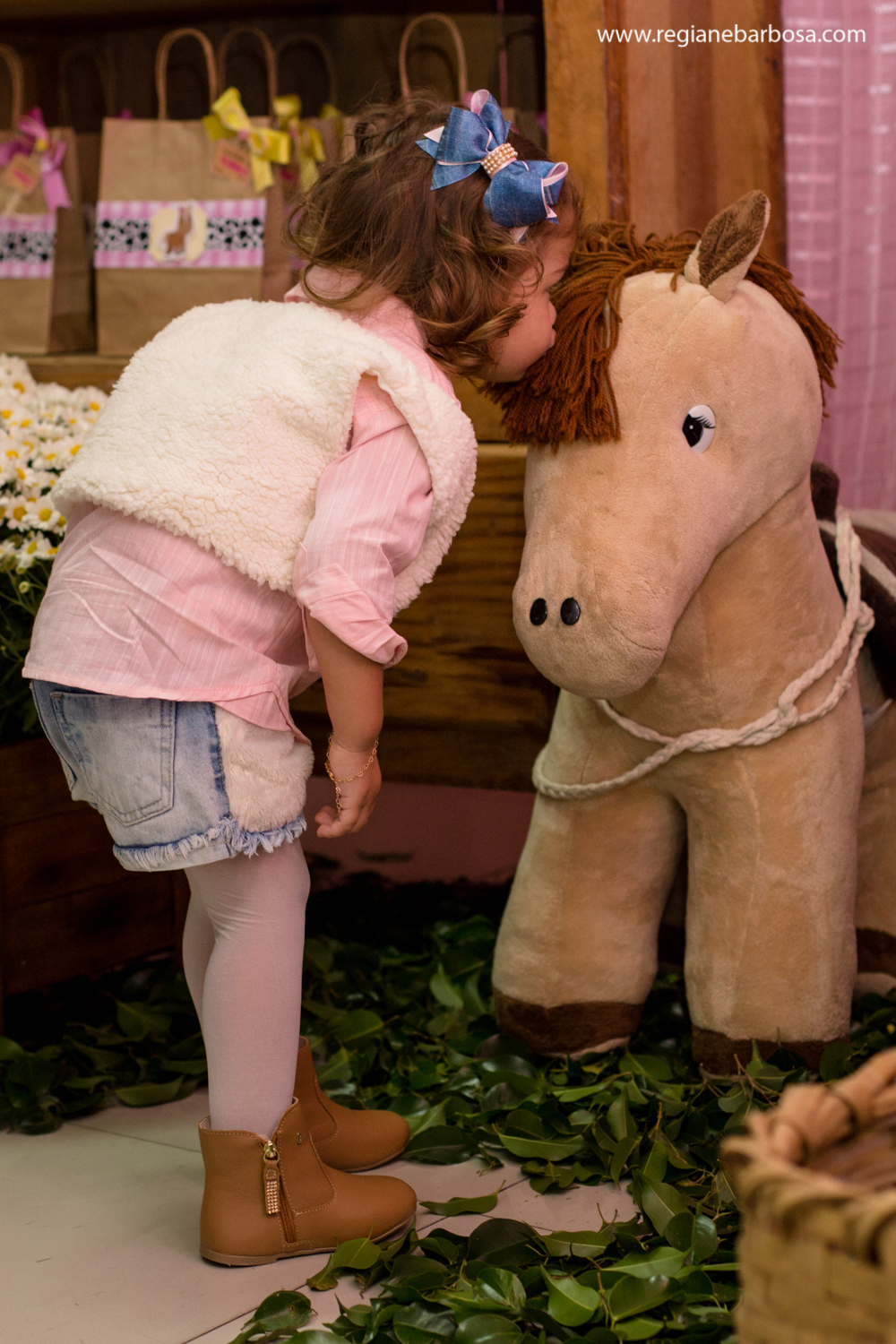 Aniversario infantil fabrica de sonhos cruzeiro sp fazendinha de menina regiane barbosa fotografia