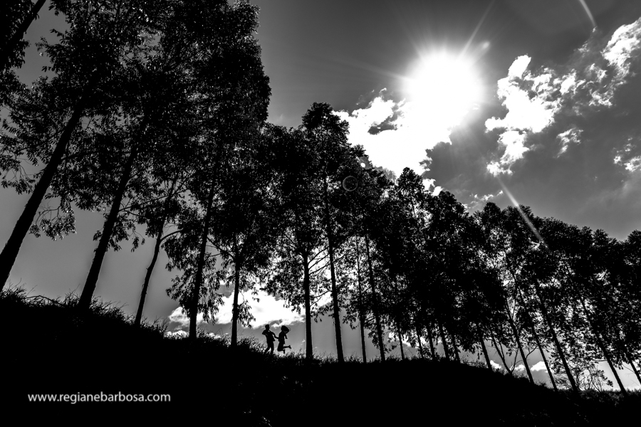 ensaio casal espontaneo divertido meio a eucaliptos fotografa de casamentos regiane barbosa vale do paraiba e regiao