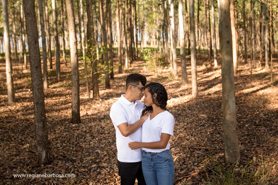 ensaio casal espontaneo divertido meio a eucaliptos fotografa de casamentos regiane barbosa vale do paraiba e regiao