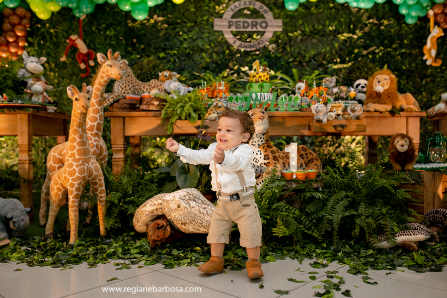 Fabrica de Sonhos Buffet Festa 1 ano tema Safari Cruzeiro SP Regiane Barbosa Fotografia