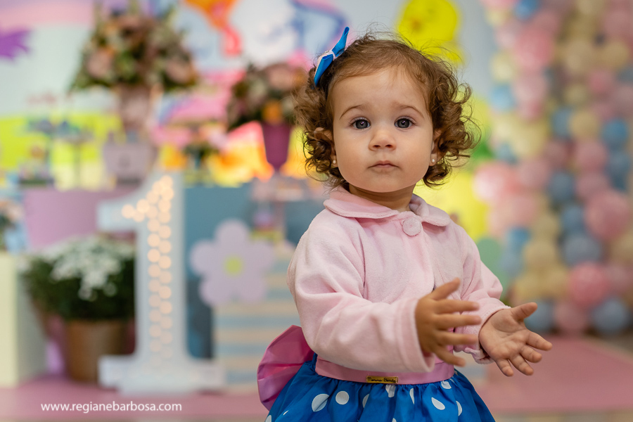 Aniversario Galinha pintadinha rosa fabrica de sonhos guaratingueta guilana festas c3 cupcake Regiane Barbosa Fotografia 