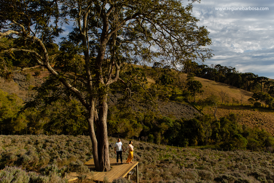 Ensaio gestante contemplario Lavandas