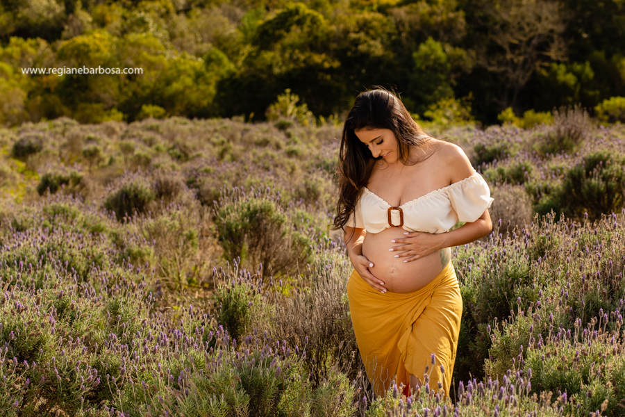 Ensaio gestante contemplario Lavandas