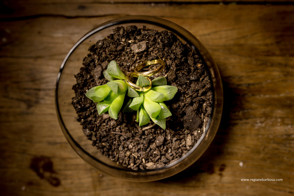 Casamento Rafa e Lucas Cruzeiro SP