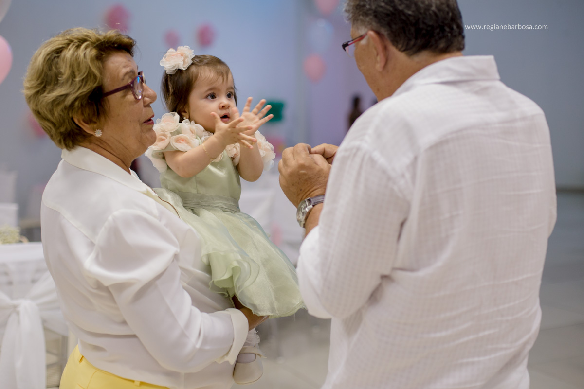 Aniversario de 1 Ano Jardim de Luxo Cores rosa azul amarelo verde tom pastel Fabrica de Sonhos Cruzeiro SP Regiane Barbosa Fotografia