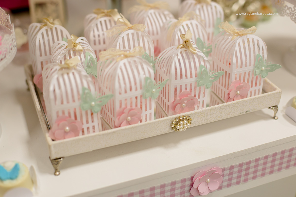 Aniversario de 1 Ano Jardim de Luxo Cores rosa azul amarelo verde tom pastel Fabrica de Sonhos Cruzeiro SP Regiane Barbosa Fotografia