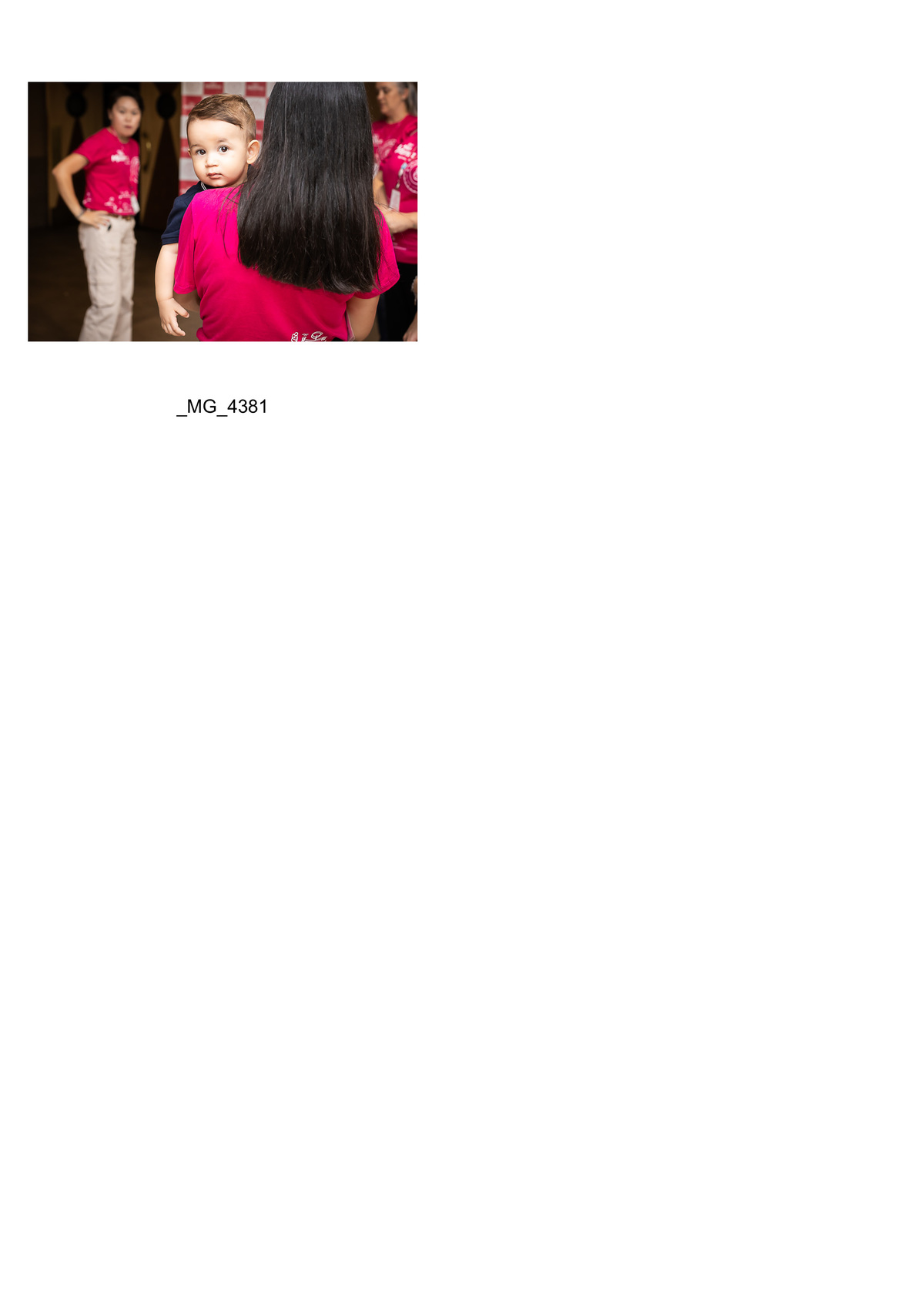 CINEMATERNA CURITIBA