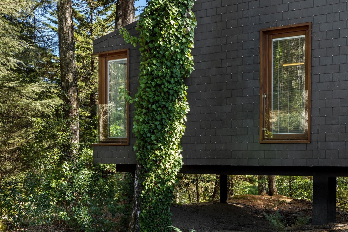 pedras salgadas, pedras salgadas - spa& nature park, hotel pedras salgadas, fotografia de hotéis, fotografia hoteleira, spa, fotógrafo de hotéis, fotógrafo de hotelaria, tree houses, fotografia profissional de hotelaria, fotografia profissional de hotéis