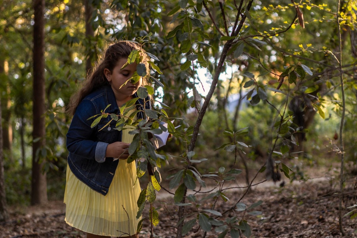 pedras salgadas, pedras salgadas - spa& nature park, hotel pedras salgadas, fotografia de hotéis, fotografia hoteleira, spa, fotógrafo de hotéis, fotógrafo de hotelaria, tree houses, fotografia profissional de hotelaria, fotografia profissional de hotéis