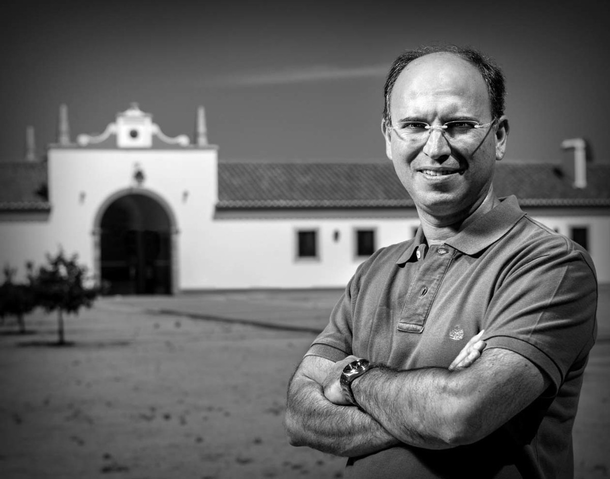 Vinhos do Alentejo; Adega; Cartuxa; Alentejo; Rota dos Vinhos; Vinhos; Fundação Eugénio de Almeida; EA; Pedro Batista; Enólogo;