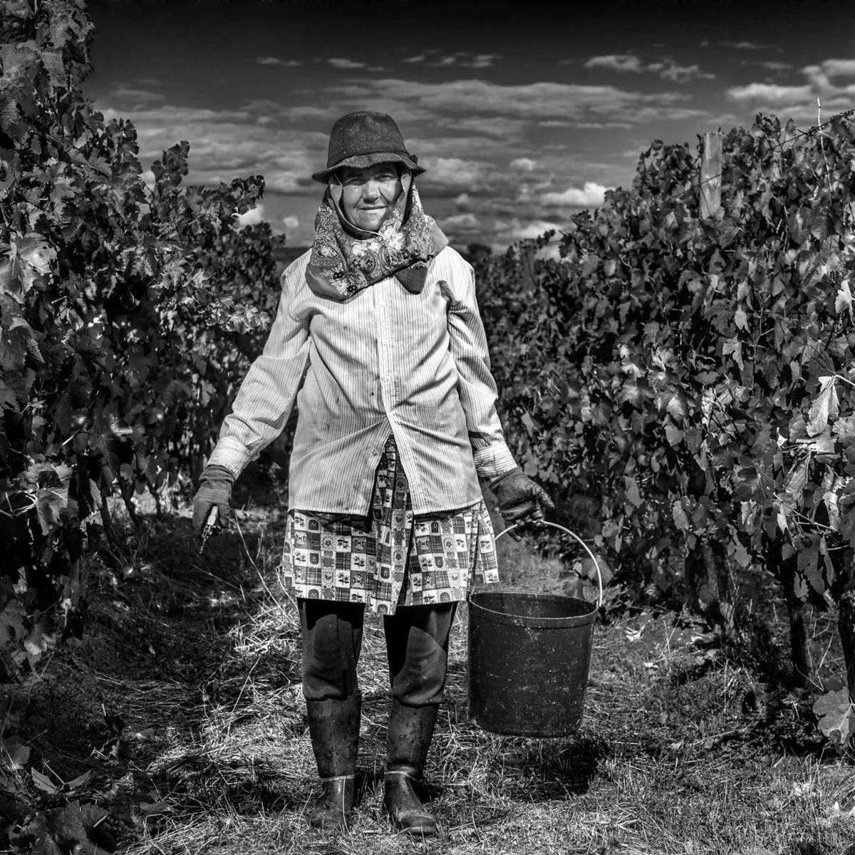 Alentejo; Rota dos Vinhos; Vinhos; Fundação Eugénio de Almeida; EA; Vindimas;