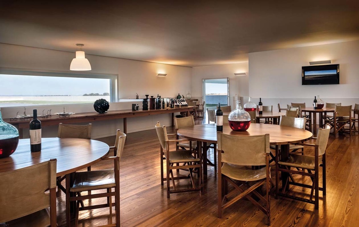 Vinhos do Alentejo; Adega; Adega Mayor; Alentejo; Rota dos Vinhos; Vinhos; Campo Maior; 