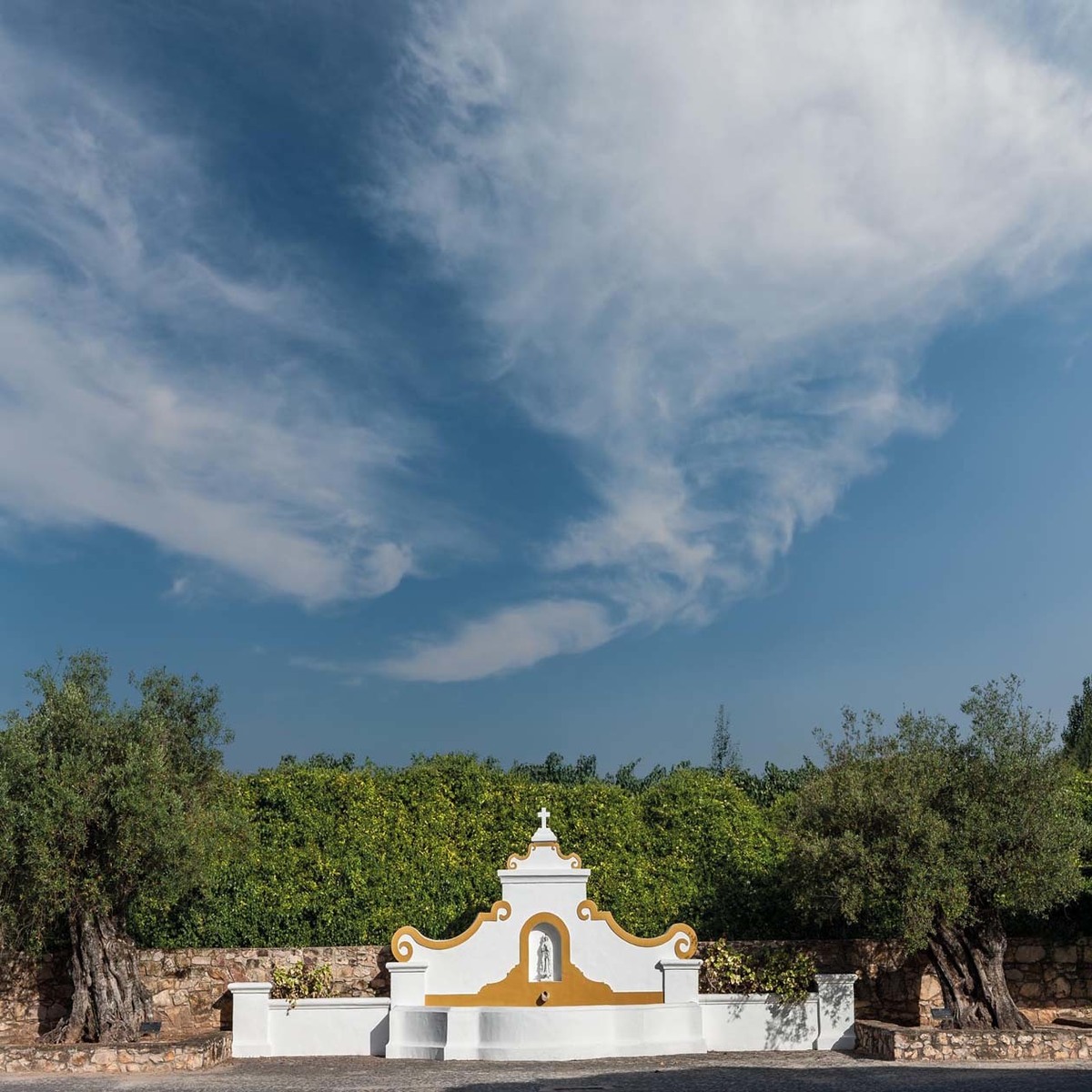 alentejo, vinhas, vinho, portugal, enologia, paisagem, joao portugal ramos, estremoz, rota dos vinhos, castas, enólogo, adega, pipa, wine, winery